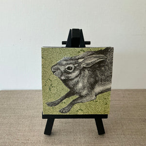 A Morris Hare