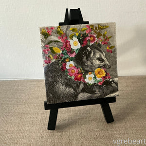Flowery Possum