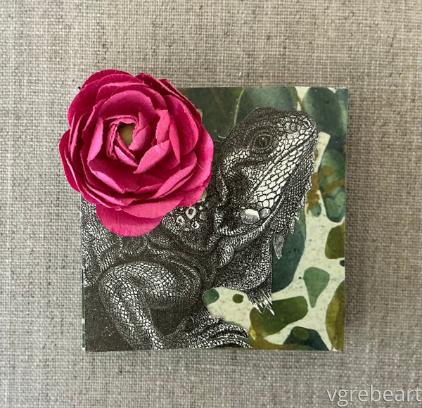 Scales & Petals